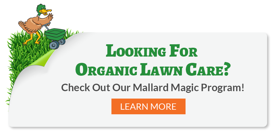 Mallard Magic Organic Lawn Care Program