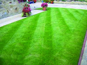 green lawn with diagonal mowing pattern